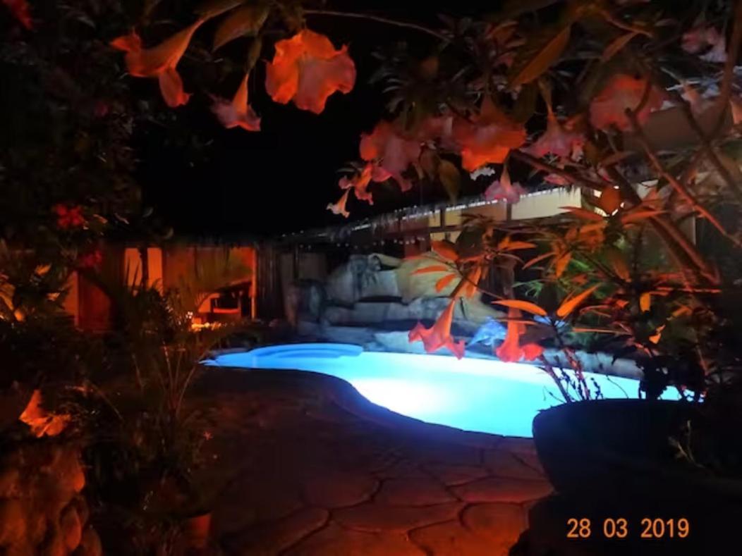 Casa Caribbean Coconut Ξενοδοχείο Cahuita Εξωτερικό φωτογραφία