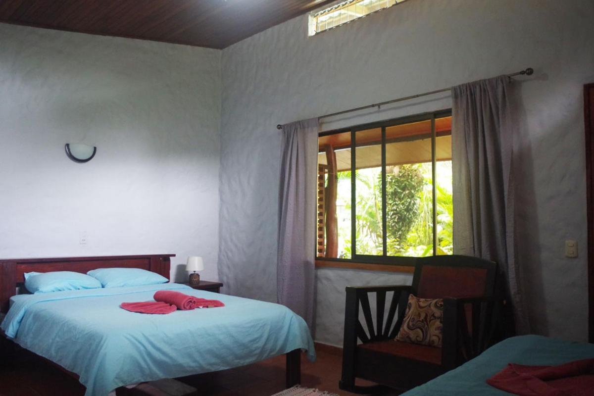 Casa Caribbean Coconut Ξενοδοχείο Cahuita Εξωτερικό φωτογραφία