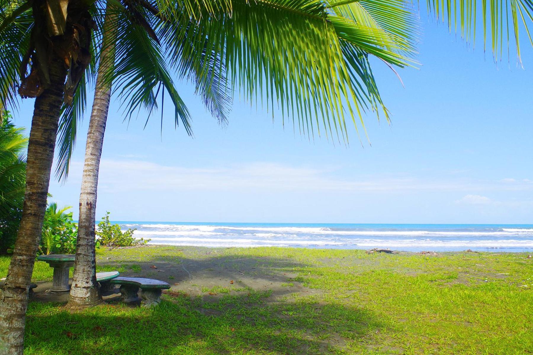 Casa Caribbean Coconut Ξενοδοχείο Cahuita Εξωτερικό φωτογραφία