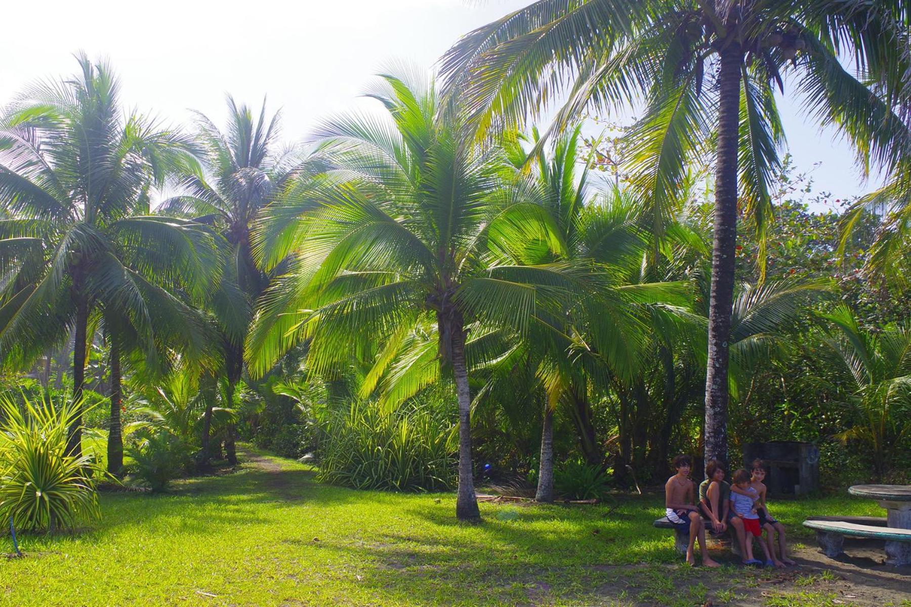 Casa Caribbean Coconut Ξενοδοχείο Cahuita Εξωτερικό φωτογραφία